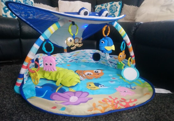 mr ray play gym